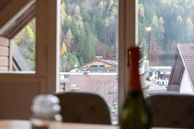 a bottle of wine sitting on a table in front of a window at Apartma Mauro in Kranjska Gora
