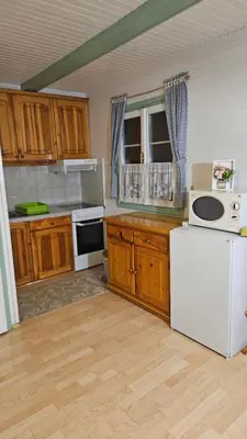 a kitchen with wooden cabinets and a white refrigerator at Brunarica Beti in Brežice