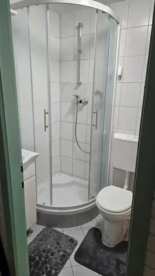 a bathroom with a shower and a toilet at Brunarica Beti in Brežice