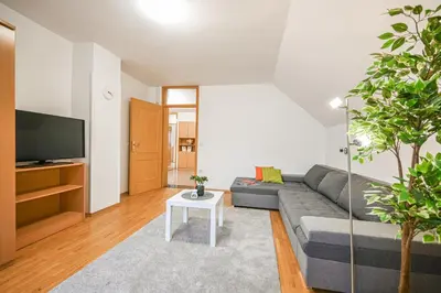 a living room with a gray couch and a tv at Green View Kamnik in Kamnik