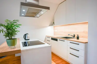 a kitchen with white cabinets and a potted plant at Green View Kamnik in Kamnik