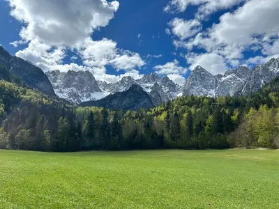 a green field with mountains in the background at Apartment Barbara with sauna in Gozd Martuljek