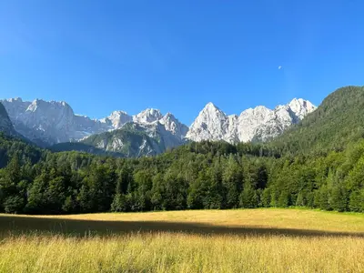 a field with trees and mountains in the background at Apartment Barbara with sauna in Gozd Martuljek