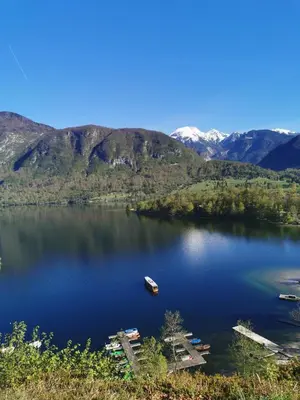 a view of a lake with a boat in it at Apartma jezero MIG in Bohinj