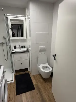a white bathroom with a toilet and a sink at Mary's flat in Ljubljana