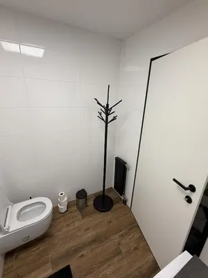 a bathroom with a toilet and a tree in the corner at Mary's flat in Ljubljana