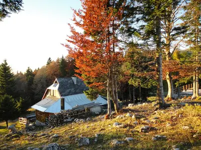 a house sitting on top of a hill with trees at Holiday cottage Pod Smreko in Cerklje na Gorenjskem