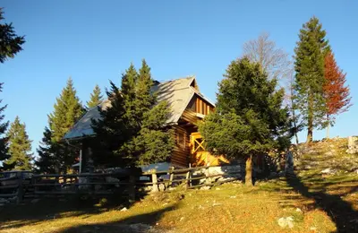 a log cabin in the woods with trees at Holiday cottage Pod Smreko in Cerklje na Gorenjskem