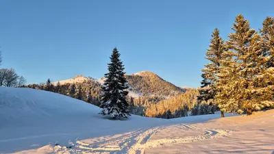 a snow covered slope with trees and mountains at Holiday cottage Pod Smreko in Cerklje na Gorenjskem