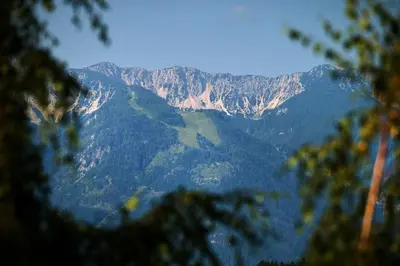 a view of a mountain range with trees in the foreground at Farm Stay Gradišnik Peaceful Countryside with Homemade Breakfast in Prevalje