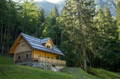 a wooden cabin in the middle of a forest at Alpine Loghouse Planšarska bajta Matkov Kot in Solčava