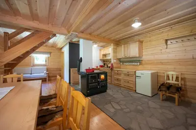 a large kitchen with wooden walls and a stove at Alpine Loghouse Planšarska bajta Matkov Kot in Solčava