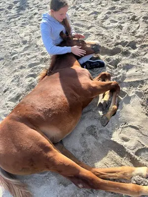 a girl sitting on top of a horse on the beach at Apartma Spodnji Goltnik 1 in Mozirje