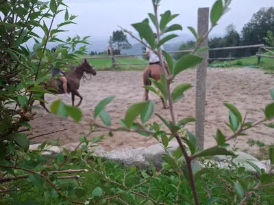 two people riding horses on a dirt track at Apartma Spodnji Goltnik 1 in Mozirje