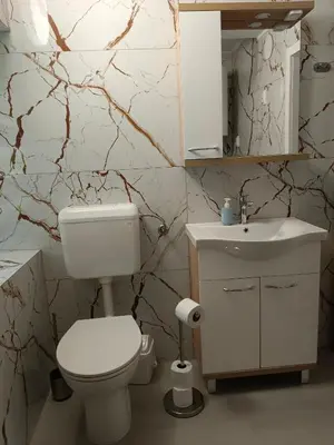 a bathroom with a white toilet and a sink at Apartma Pirc in Kranjska Gora