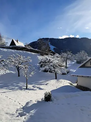 a snow covered yard with trees and a house at Apartma Pirc in Kranjska Gora