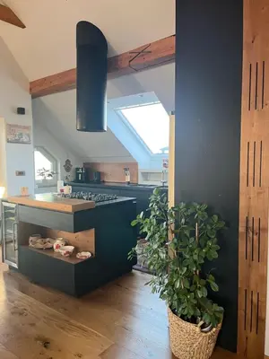 a kitchen with a stove and a potted plant at Eden Superior Family Apartment near Terme Paradiso with FREE pool tickets in Dobova