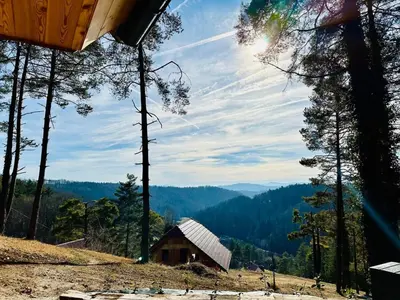 a cabin on a hill with a view of the forest at Secluded Romantic Cabin · Hot Tub & Barrel Sauna
