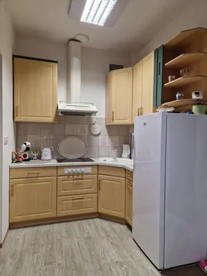 a kitchen with wooden cabinets and a white refrigerator at Apartment TINA in Kranjska Gora