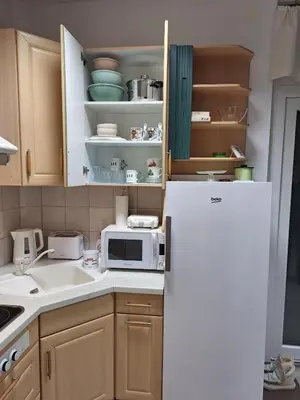 a kitchen with a refrigerator and a microwave at Apartment TINA in Kranjska Gora