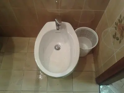 a white toilet in a bathroom with a trash can at Guest House Rože in Ilirska Bistrica