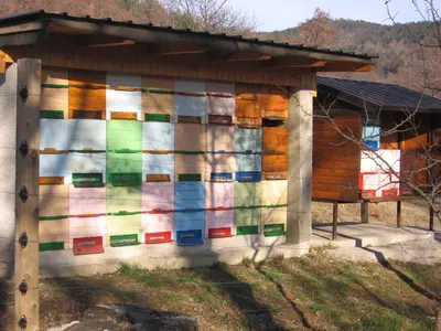 a building with colorful paint on the side of it at Guest House Rože in Ilirska Bistrica