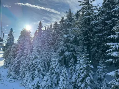 a group of snow covered trees on a ski lift at Rogla Gaber Studio in Zreče