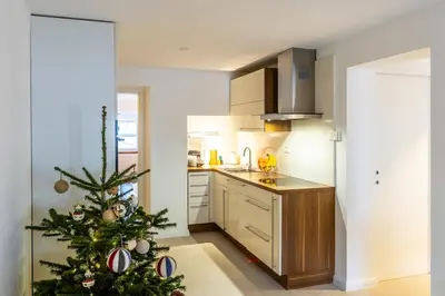 a kitchen with a christmas tree in the kitchen at Valka in Ljubljana