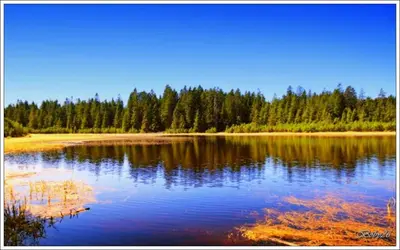 a large body of water with trees in the background at Holiday Home Tone in Frajhajm