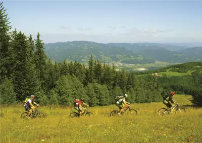 a group of people riding bikes in a field at Holiday Home Tone in Frajhajm