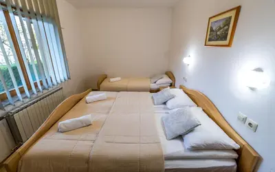 two twin beds in a room with a window at Zimzeleni Apartments in Zreče