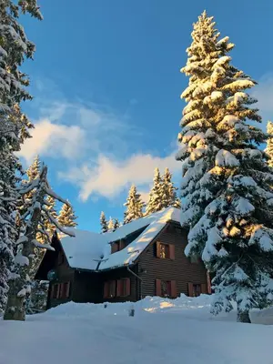 a log cabin in the snow with trees at Apartmajska hiša Muštrinka in Cerklje na Gorenjskem