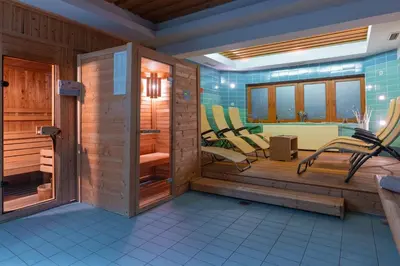 a room with a sauna with chairs in it at Apartmajska hiša Muštrinka in Cerklje na Gorenjskem