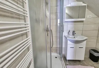 a bathroom with a shower and a sink and a toilet at Apartmaji JOŠT in Bohinj