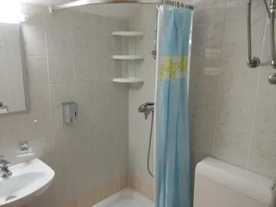 a bathroom with a shower and a toilet and a sink at Apartment Klas in Moravske Toplice