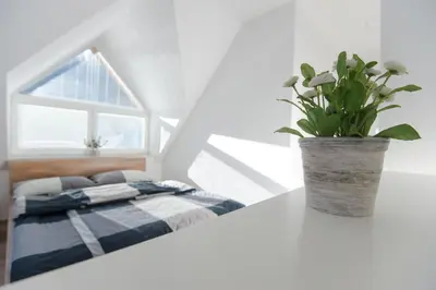 a bedroom with a bed and a potted plant on a table at Apartments Teja in Kranjska Gora
