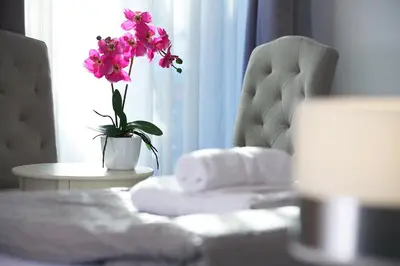 a flower in a vase on a table next to a chair at Hiša Pr'Pristavc in Bohinj
