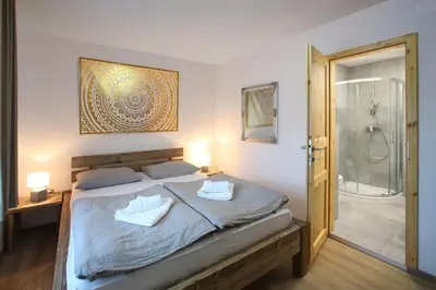 a bedroom with a large bed and a shower at Hiša Pr'Pristavc in Bohinj