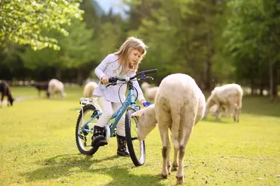 a little girl riding a bike with a sheep at Apartments Mija in Krotica