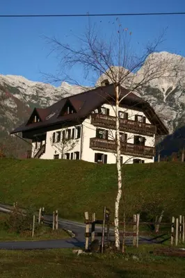 a large white house with a tree in front of it at Apartments Mija in Krotica
