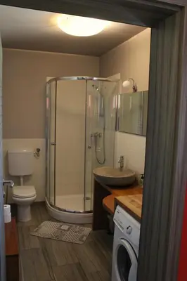 a bathroom with a shower and a sink and a toilet at Apartment Dandelion in Branik