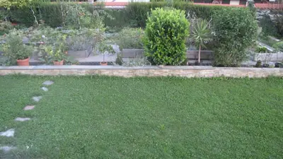 a garden with plants and a lawn withgrass at Dom Vita Sticna in Ivančna Gorica