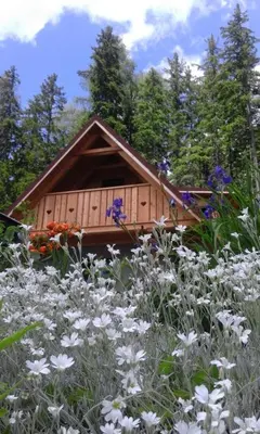 a small wooden house in a field of flowers at Guesthouse Planinski Dom Majerhold in Solčava