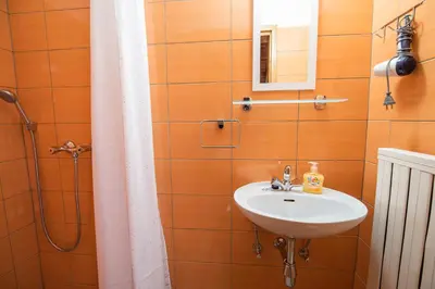 a bathroom with a sink and a shower at Farm Stay Žagar in Mozirje