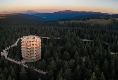 a tall building in the middle of a forest of trees at Apartma Svizec Rogla in Zreče