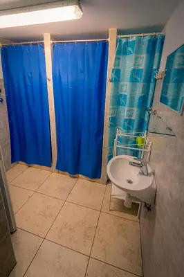 a bathroom with a blue shower curtain and a sink at Počitniška hiška Pod Skalco in Kamnik