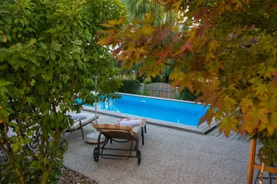 a swimming pool seen through the leaves of trees at Apartment Šilec in Šmarje pri Jelšah