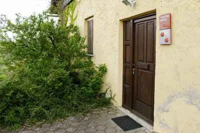 a door on the side of a building with a bush at Turistična kmetija Vrezner Apartment in Zgornja Kungota