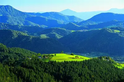 a green field with mountains in the background at Apartmaji Koželj in Ribnica na Pohorju
