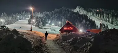 a person walking down a snow covered path in front of a cabin at Apartmaji Koželj in Ribnica na Pohorju